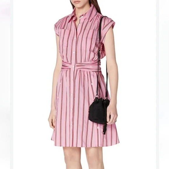 Derek Lam 10 Crosby Pink Striped Fit and Flare Shirt Dress Gathered Waist 6 - Picture 11 of 15